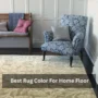 Best Rug Color For Home Floor
