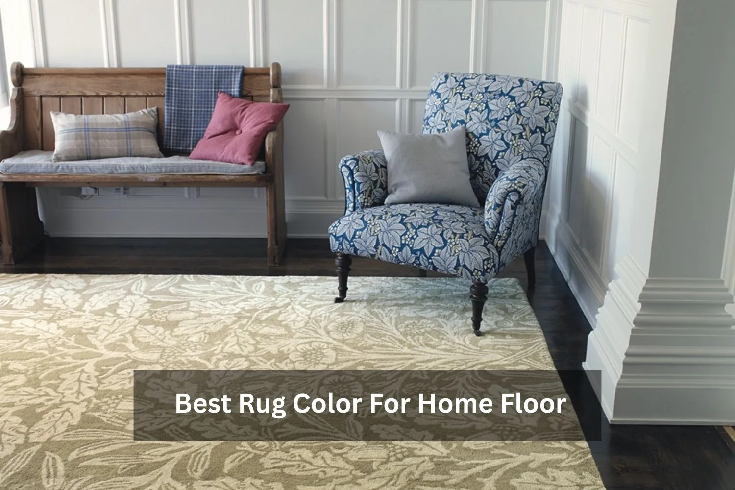 Best Rug Color For Home Floor