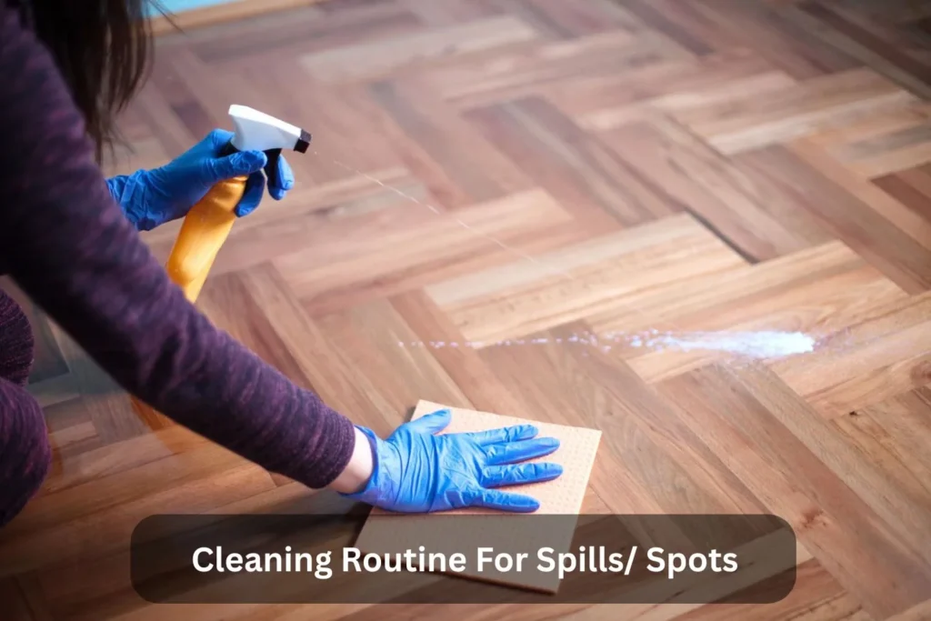 Cleaning Routine For Spills_ Spots