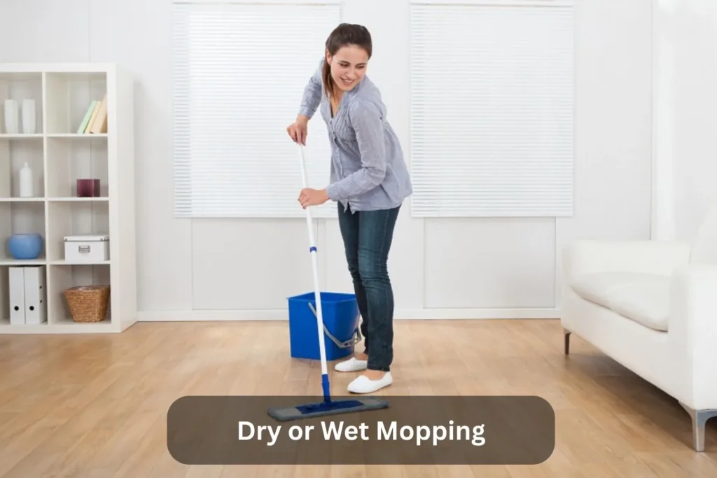 Dry or Wet Mopping