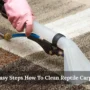 7 Easy Steps How To Clean Reptile Carpet