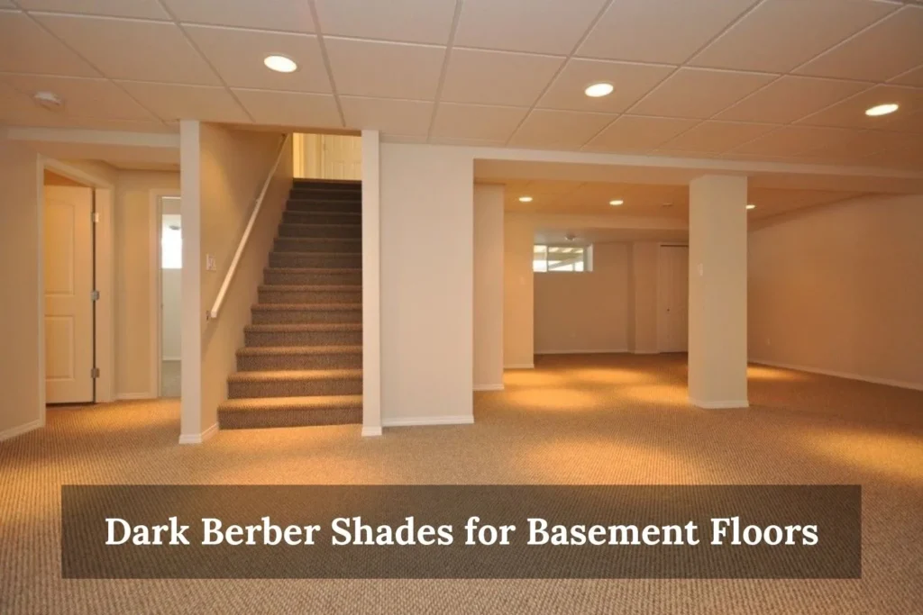 Dark Berber Shades for Basement Floors