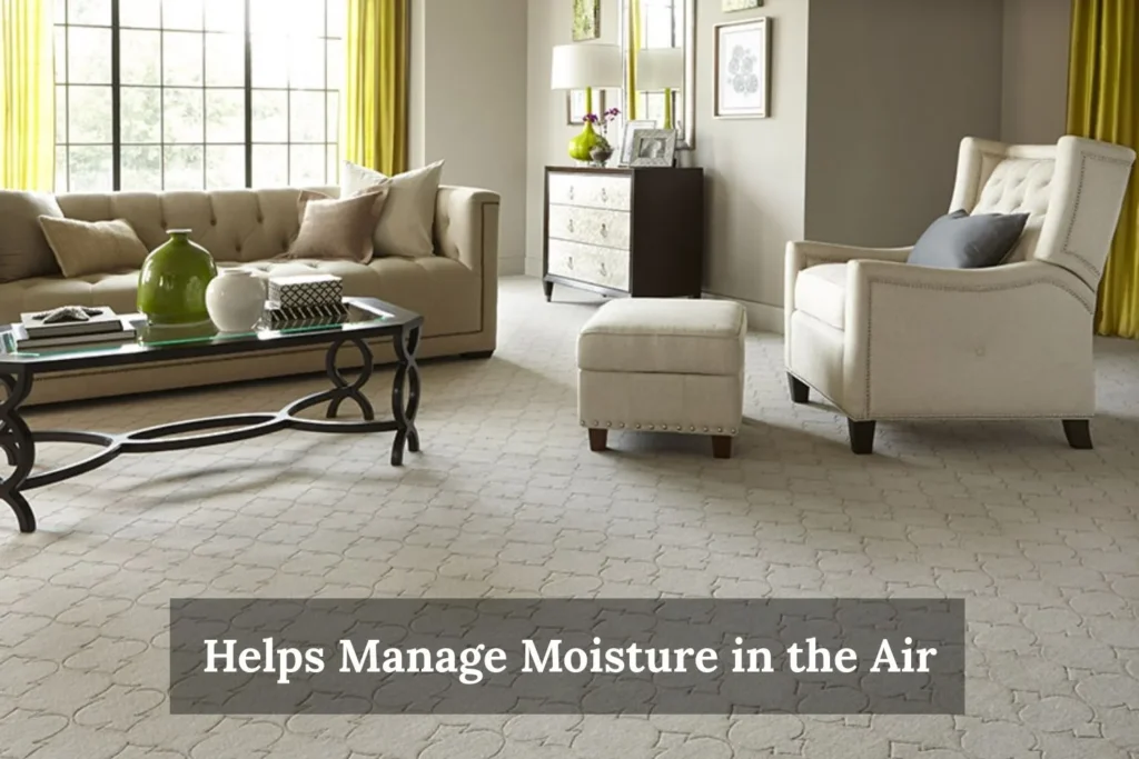 Helps Manage Moisture in the Air