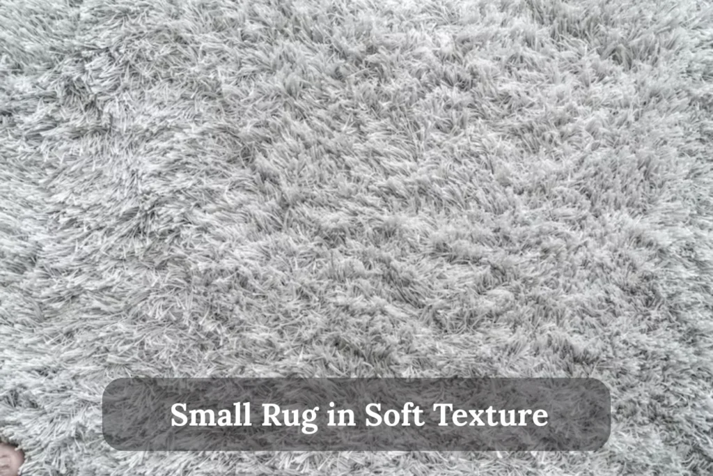 Small Rug in Soft Texture