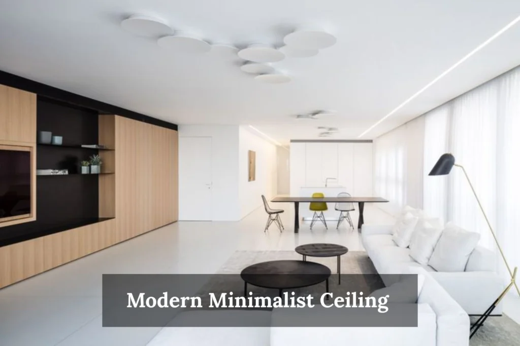 Modern Minimalist Ceiling