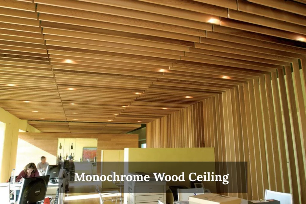 Monochrome Wood Ceiling