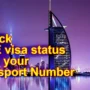 I Check My Visa Status in UAE