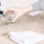 Remove Coffee Stains From Your Carpet
